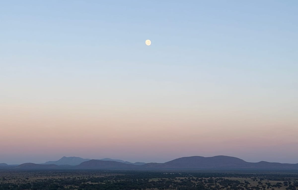 The FDA's Reversal On uniQure's Gene Therapy For Huntington's Is a Disaster For Medical Innovation