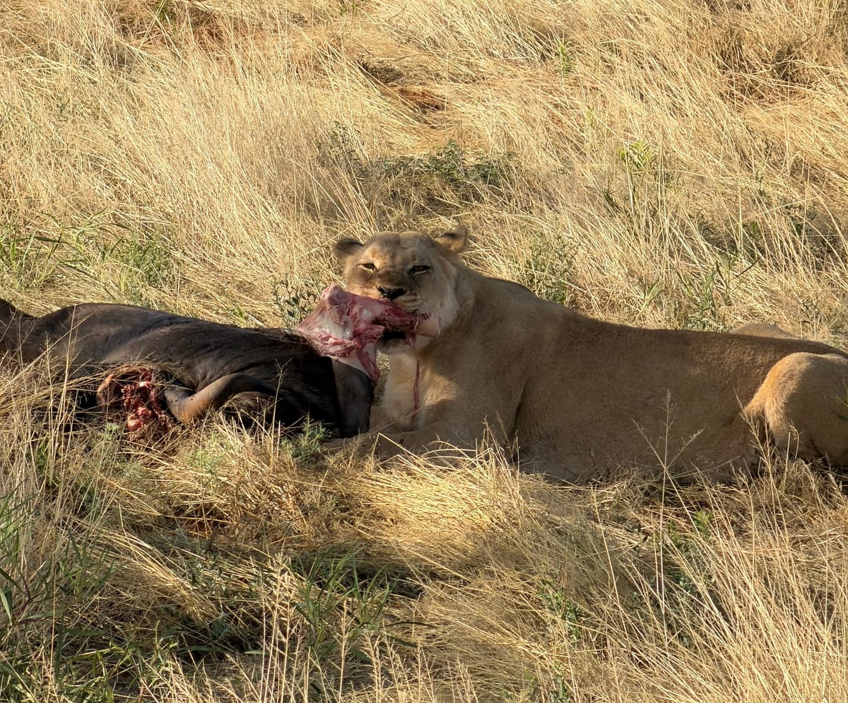 GPUs "Melting" Under Unprofitable Workloads: Why AI Is A Bubble