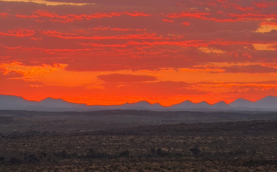 Why uniQure’s AMT-130 For Huntington’s Is Not "Too Good To Be True"